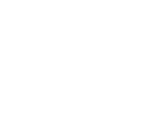 noam icon logo